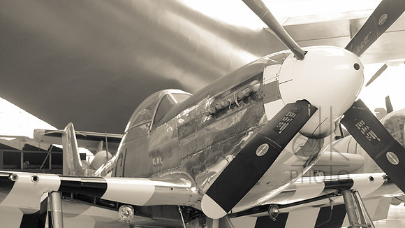 P4118835