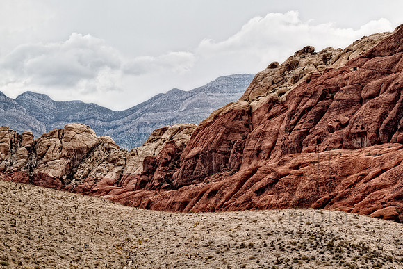 Desert Wave