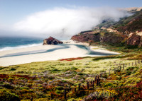 Fog Bank