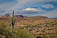 IMG_1072-Edit-Edit