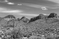 IMG_1086-Edit