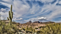 IMG_1091-Edit