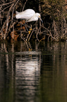 1J1A0333-Edit-Edit