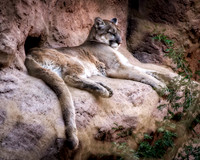 _MG_2174-Edit