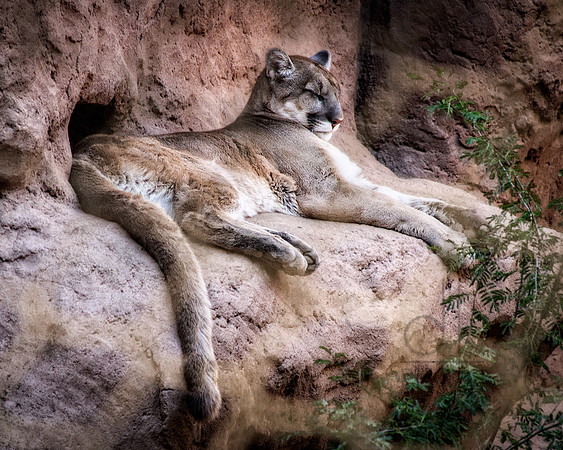_MG_2174-Edit