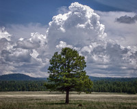 P5295419_HDR
