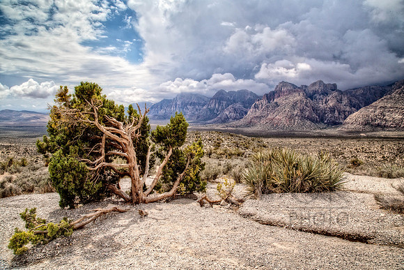 IMG_2032_HDR-Edit-Edit