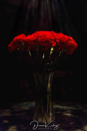 IMG_0004-Edit-2-Edit-Edit