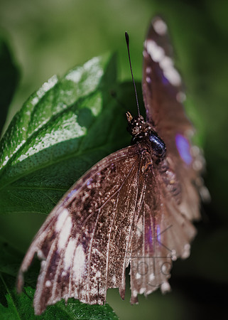 1J1A2200-Edit