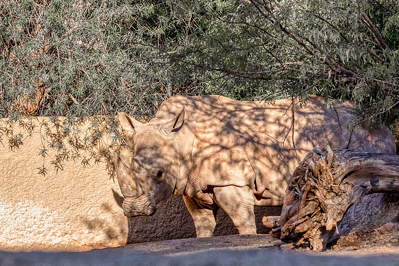 1J1A1479-Edit-Edit