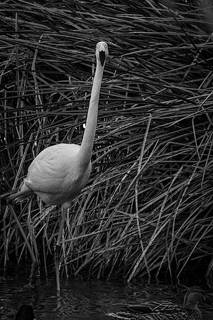 1J1A1593-Edit-Edit