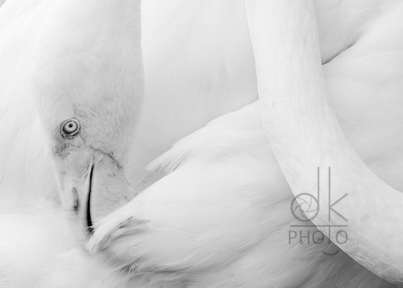 1J1A1603-Edit-Edit