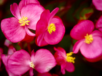 P5242715