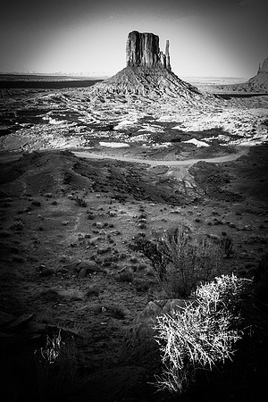 Valley Mitten