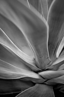 IMG_5936-Edit