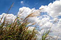 IMG_1460-Edit