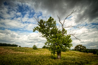 IMG_2667_HDR-Edit-Edit