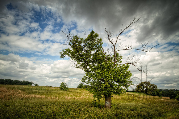 IMG_2667_HDR-Edit-Edit