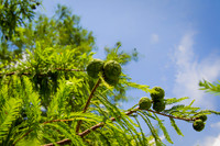 IMG_1445-Edit