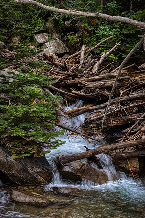 _J1A5468-Edit-Edit