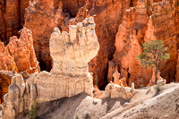 _J1A2960-Edit
