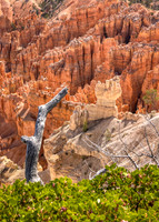 _J1A2931-Edit