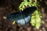 IMG_2207-Edit