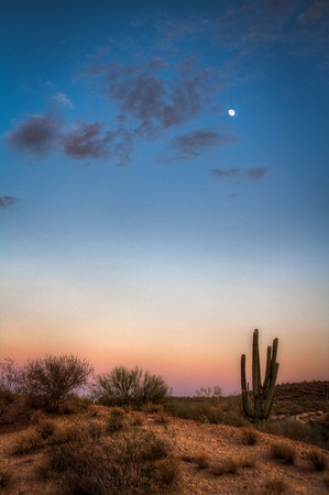 Desert Dusk