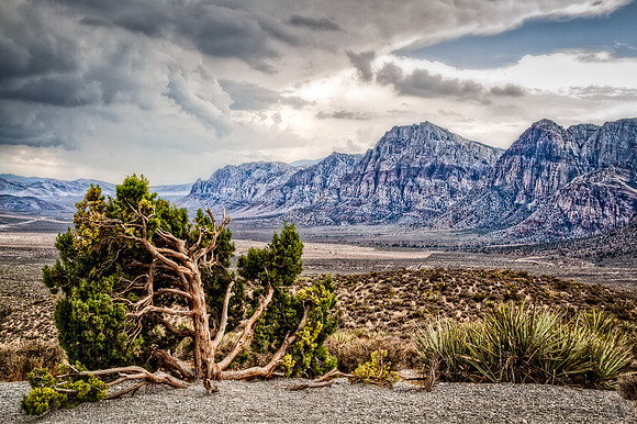 Purple Mountains