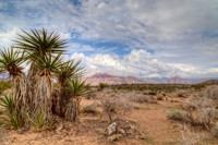 IMG_1923_HDR-Edit