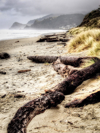 Charred Driftwood