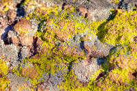 IMG_5912_HDR