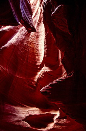 A Step Into the Light