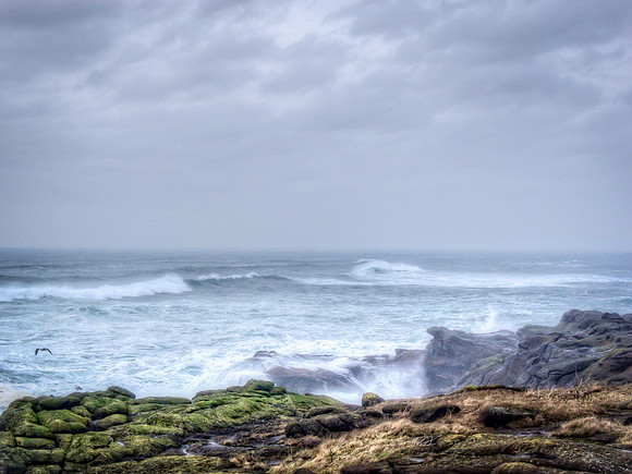 Sea Spray