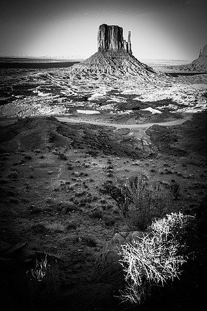 Valley Mitten
