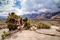 IMG_2032_HDR-Edit