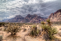 IMG_2094_HDR-Edit