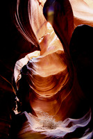 antelope08
