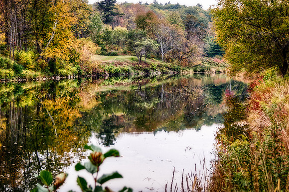 Still Waters