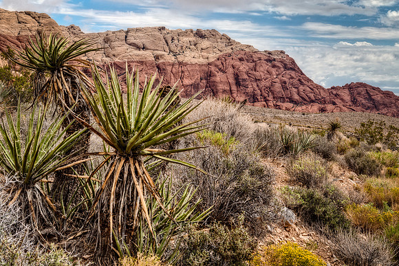 IMG_1997_HDR-Edit
