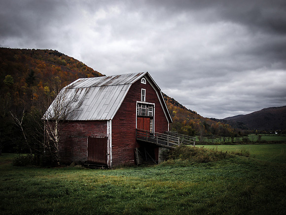 Vermont Barnyard