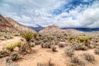 IMG_2090_HDR-Edit