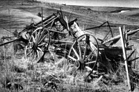 Wayward Wagon