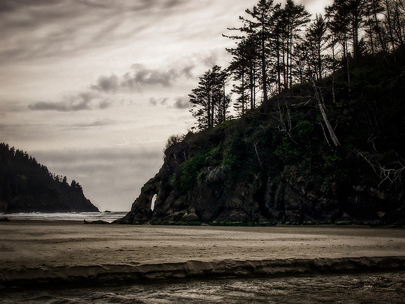 Shadow Cove