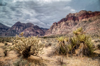 IMG_2098_HDR-Edit