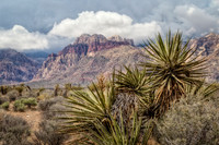 IMG_1999_HDR-Edit