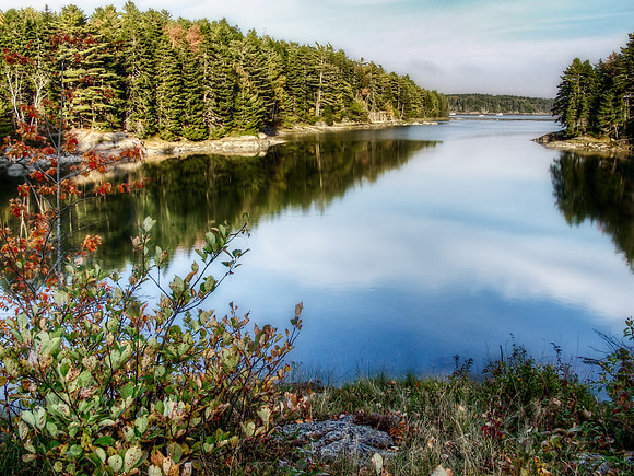 Calm Reflection