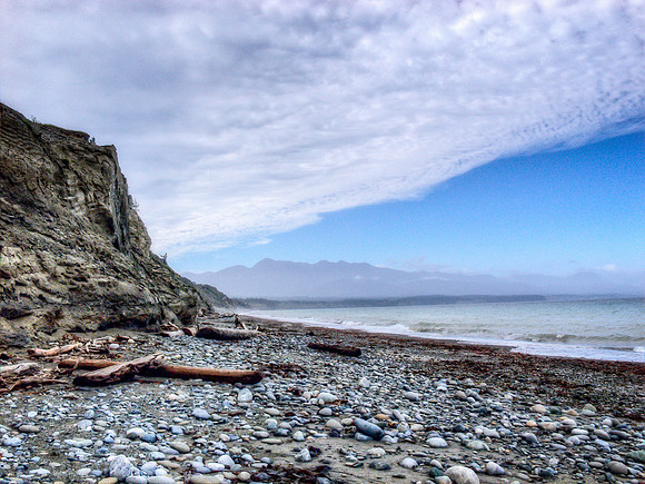 The Wedge