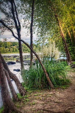 Riverbank