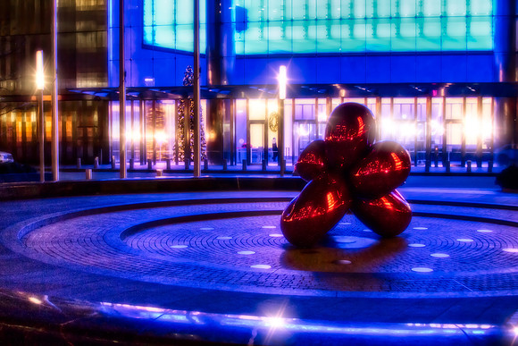 Night Flower